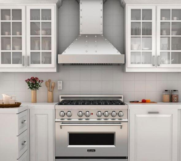 ZLINE Designer Series Wall Mount Range Hood in Dura Snow Stainless Steel - 655-4SSSS