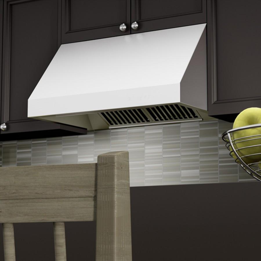 ZLINE Outdoor Under Cabinet Range Hood in Stainless Steel - 685-304